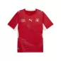 Preview: Switzerland Jersey WC - 2026